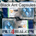 Black Ant Capsules viagra5